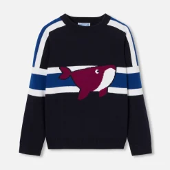 Jacadi Pull enfant garçon - MARINE/BLEU Online