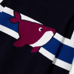 Jacadi Pull enfant garçon - MARINE/BLEU Online